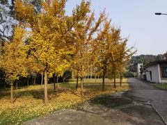 -西南交通大学(峨眉校区)