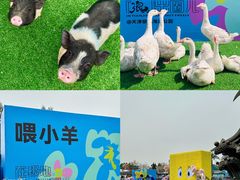 -海合安天津极地海洋公园