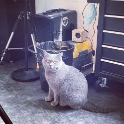 -飛凡TATTOO纹身•原创