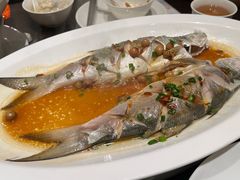 破布子蒸特五鱼-闽和南(深圳万象城店)