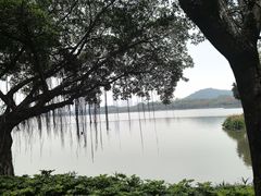 -顺峰山公园