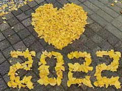 -镇江市南山风景名胜区竹林景区