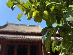 -宁波市保国寺古建筑博物馆