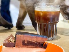 美式咖啡-藏猫猫咖啡主题馆(中央大道店)