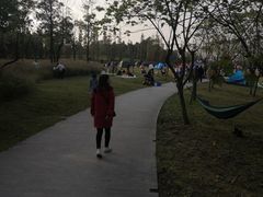 -两河城市森林公园