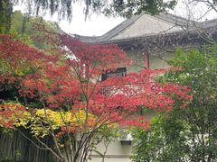 -汇龙潭