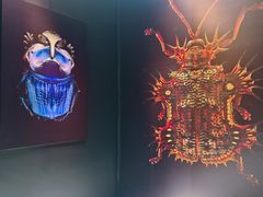 -广东科学中心