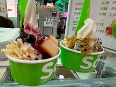 -Salud撒露欧洲冻酸奶(五道口购物中心店)