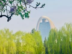-团结湖公园