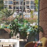 躺赢鸭拿铁,今天你躺平了吗?☕️