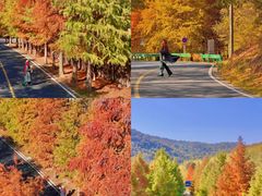 -南京市无想山景区