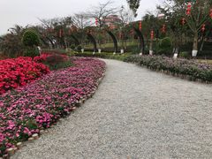 -映月湖公园