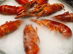 -红盔甲·小龙虾(崂山路店)