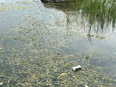 -马家湾湿地公园