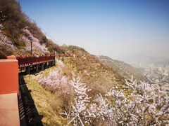 -皋兰山