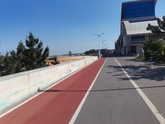 -日照海滨国家森林公园