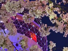 -东方明珠广播电视塔