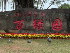 -万绿园