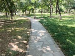 -绿堤公园