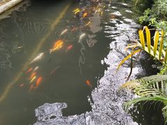 -优之名鹅城