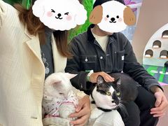-PO PARK东方宝泰