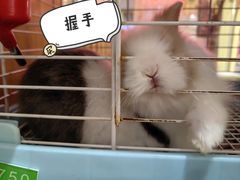 -天丰利生活MALL(和平里店)