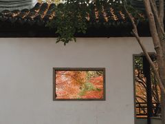 -秋霞圃