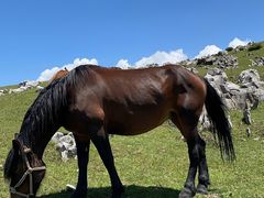 -厨神老街兔·淳朴人家店(盐帮菜风味名店)