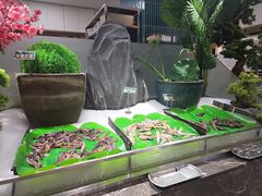 -金马门国际美食百汇(珞喻路店)