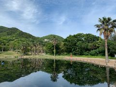 -普陀山风景名胜区-千步大沙