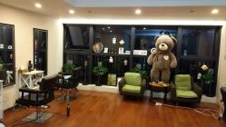 点击看大图 -星野形象