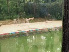 -贵州森林野生动物园