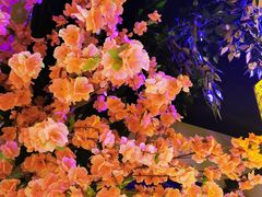 -今朝桃花醉川菜小酒馆(龙湖天街店)