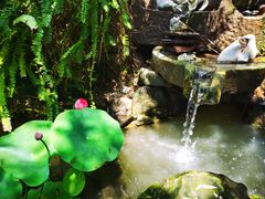 -驿舍·民國老营房院子私房菜(科学会堂店)