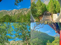 -禅宗少林·音乐大典