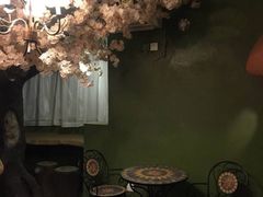 -猫猫幼稚园·撸猫·桌游·电玩