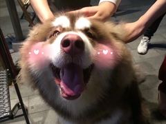 -川渔居—鱼火锅(八方汇店)