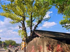 -丝绸小镇荻港古村