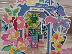 -凯德MALL(望京店)