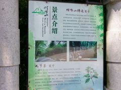 -广州市帽峰山景区