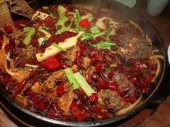 -老板恋上鱼(荣盛广场店)