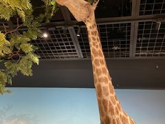 -陕西自然博物馆