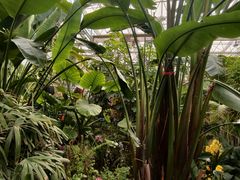 -沈阳植物园
