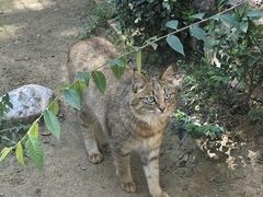 -青藏高原野生动物园