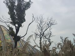 -中国天府农业博览园