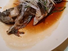 清蒸海上斑-半岛太子酒家(海港城店)