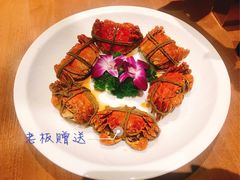 -沪小胖小龙虾(淮海中路旗舰店)