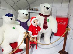 -济州岛泰迪熊博物馆