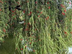 -人民公园(罗湖区)