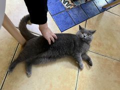 -Xian鲜趣人生(青湖印象名邸店)